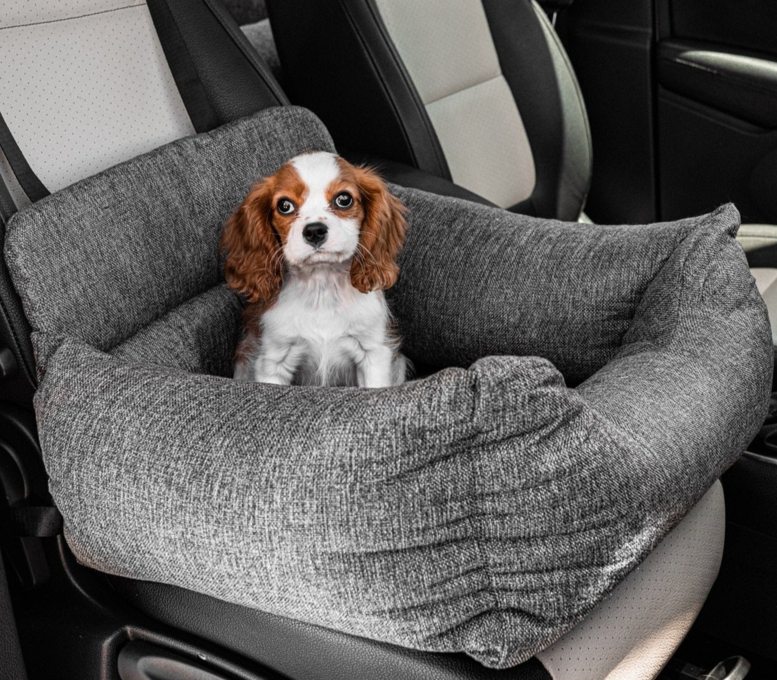PETLOOM Memory Foam Dog Car Bed™