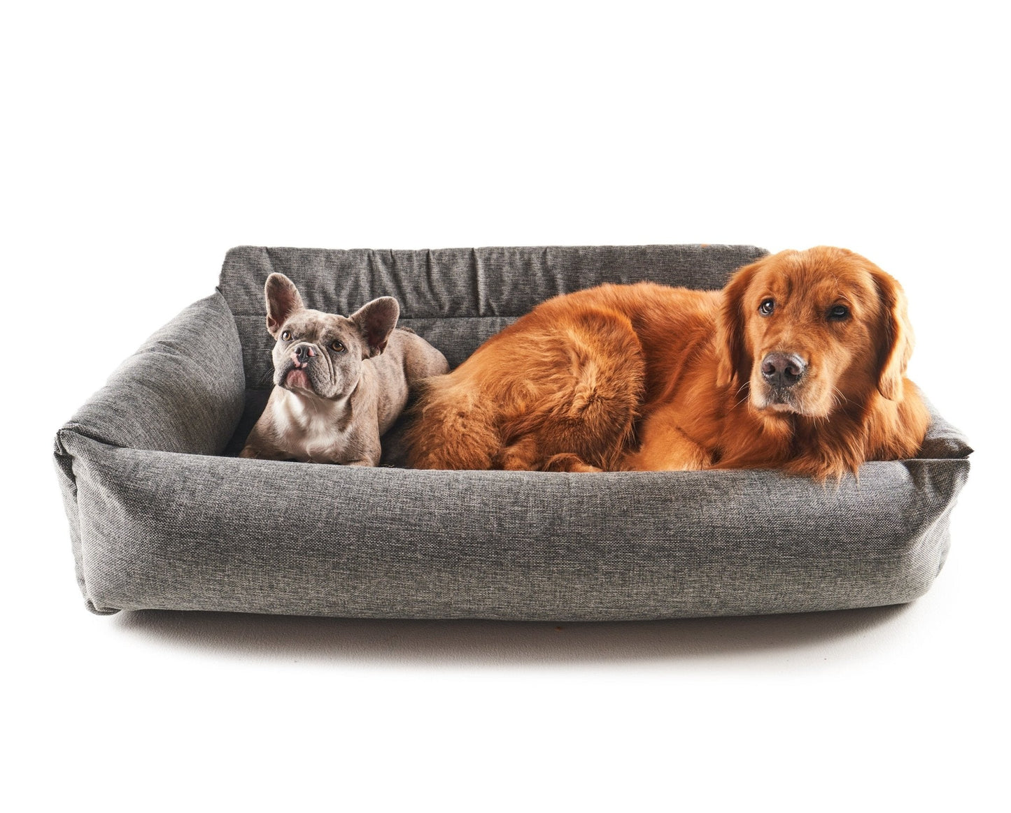Two dogs on a gray pet bed against a white background
