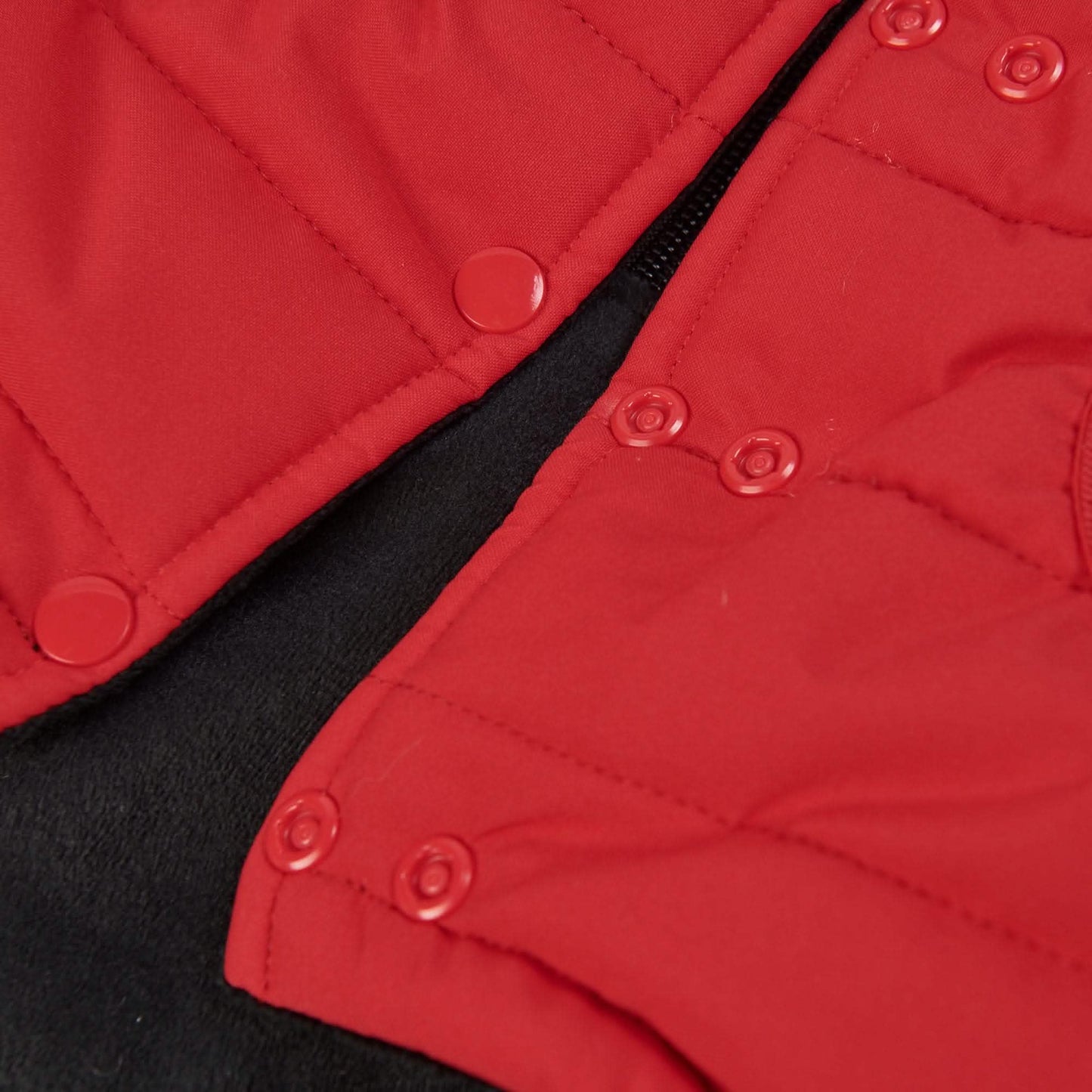 Petloom All-Season Insulated Dog Jacket™