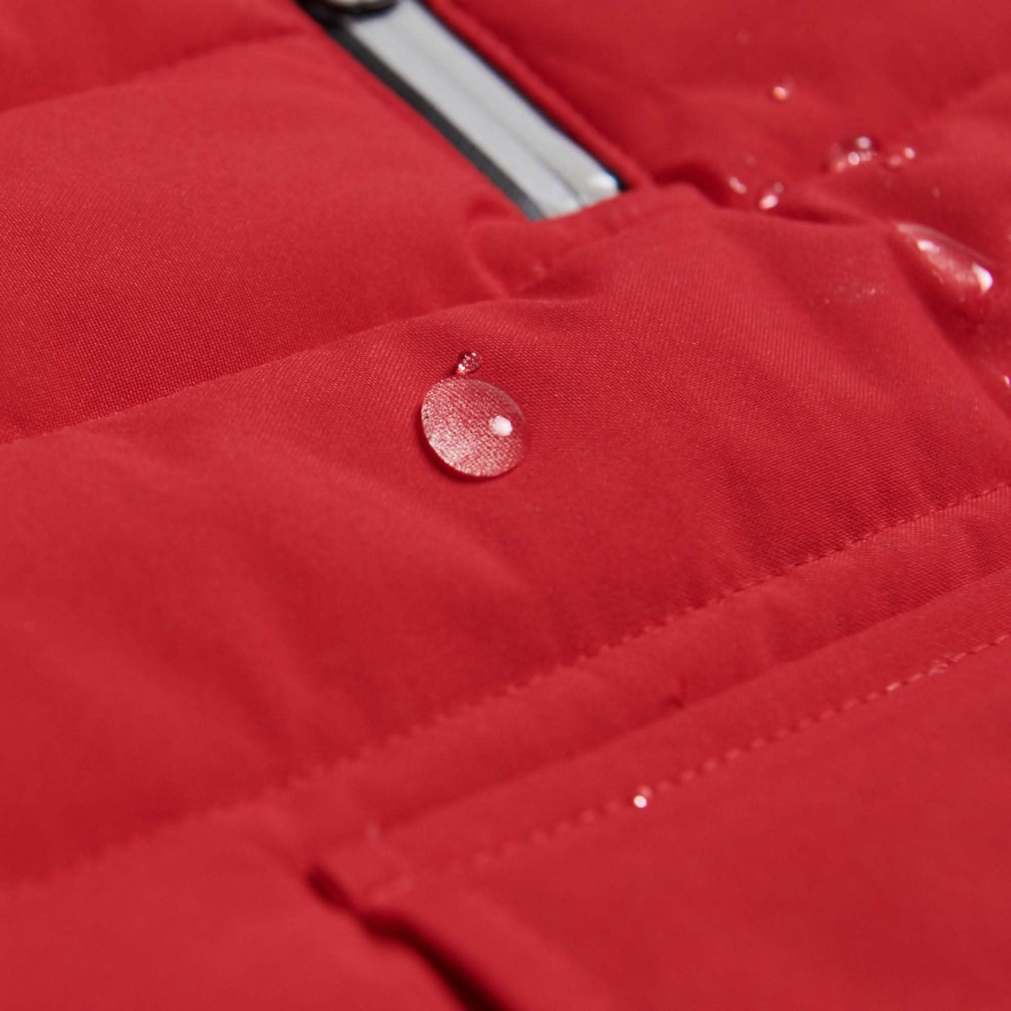 Petloom All-Season Insulated Dog Jacket™