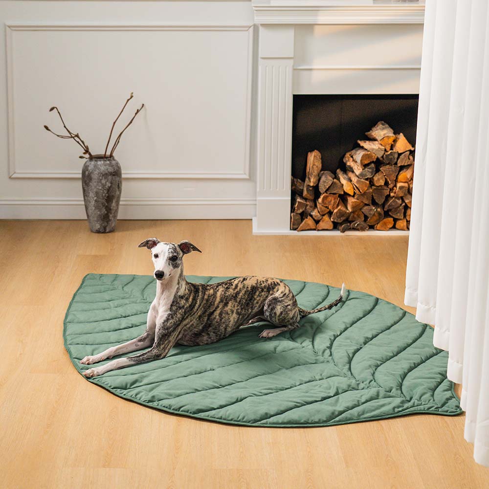 PETLOOM Leaf Shape Dog Blanket™