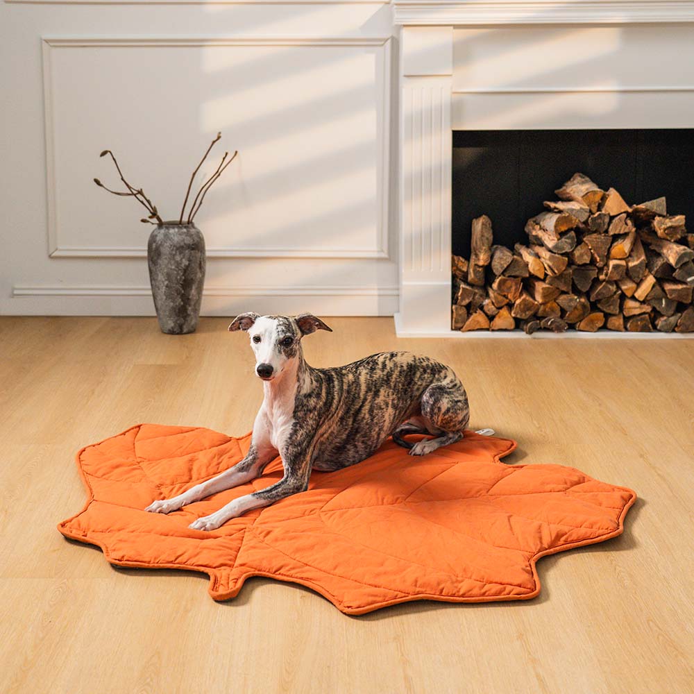 PETLOOM Leaf Shape Dog Blanket™