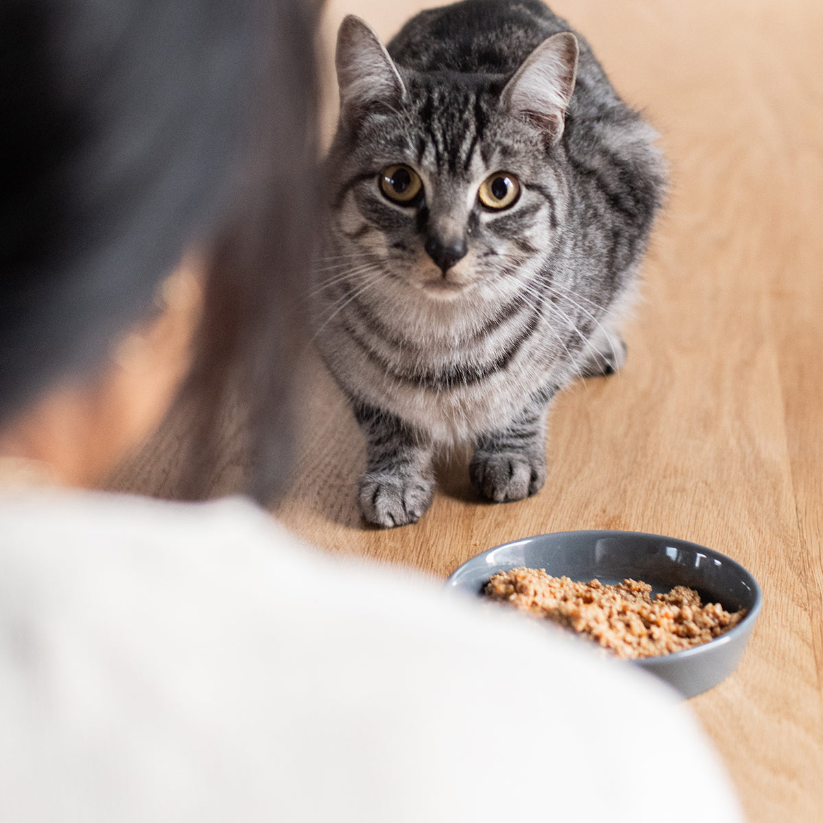 PETLOOM Dock Ceramic Cat Bowl™
