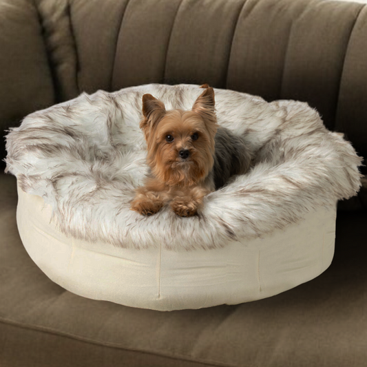 Small dog sitting in a fluffy pet bed on a couch