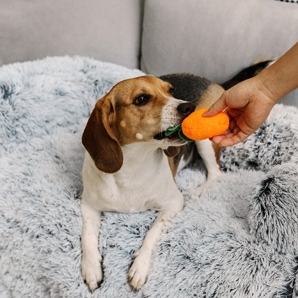 PETLOOM Calming Furniture Protector Dog Bed Fuzzy Backrest™