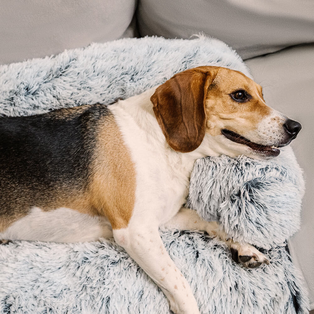 PETLOOM Calming Furniture Protector Dog Bed Fuzzy Backrest™
