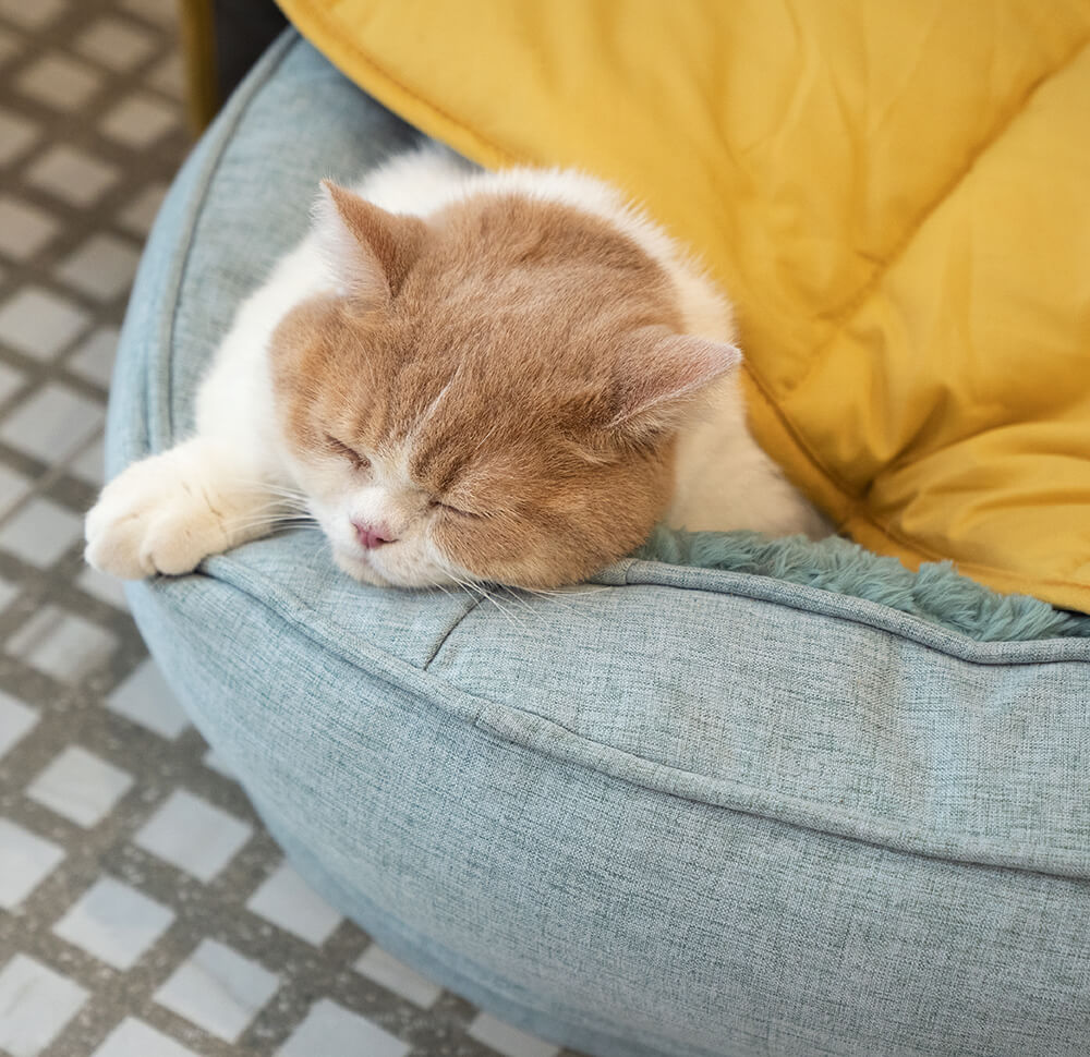 PETLOOM Leaf Shape Dog Blanket™
