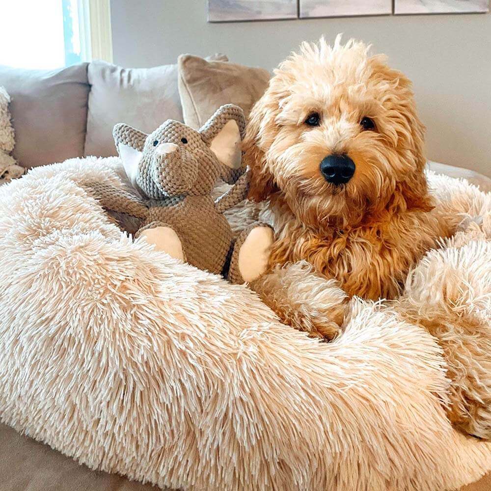 PETLOOM Fuzzy Round Fluffy Dog Bed™