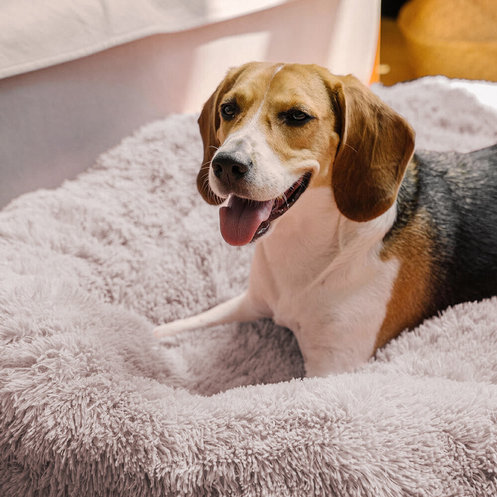 PETLOOM Fuzzy Round Fluffy Dog Bed™