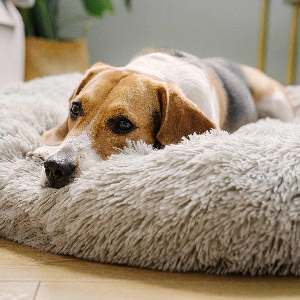 PETLOOM Fuzzy Round Fluffy Dog Bed™