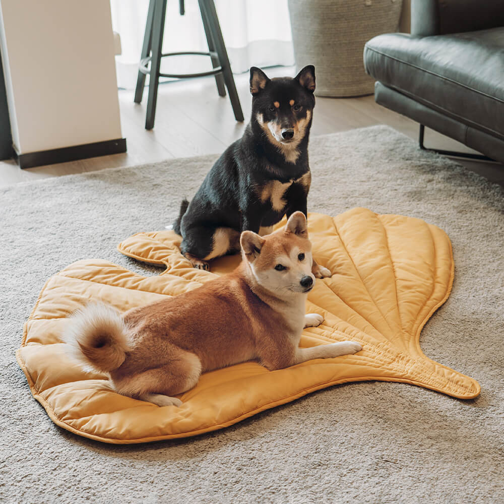 PETLOOM Leaf Shape Dog Blanket™