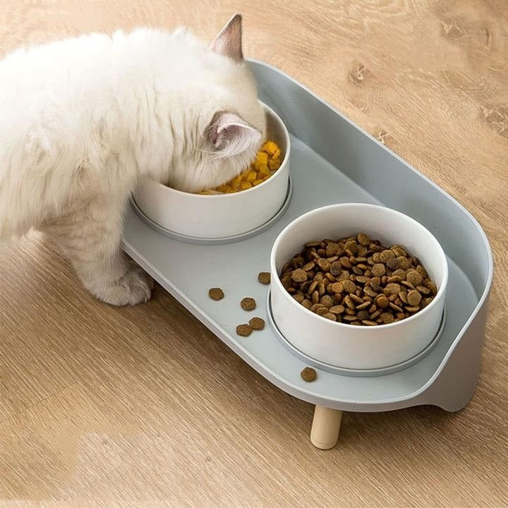 PETLOOM Bone China Double Cat Bowl™