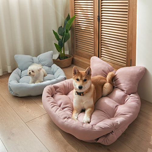 Petloom 2-in-1 plush mini sofa bed for small dogs and cats
