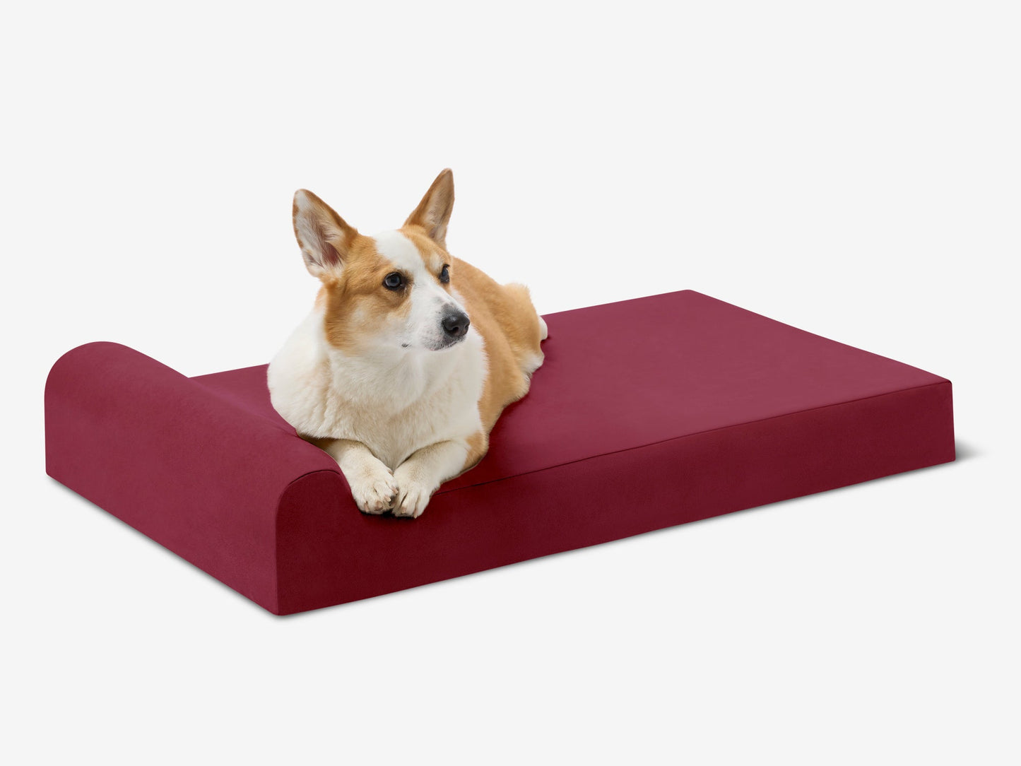 PETLOOM Junior Orthopedic Dog Bed™