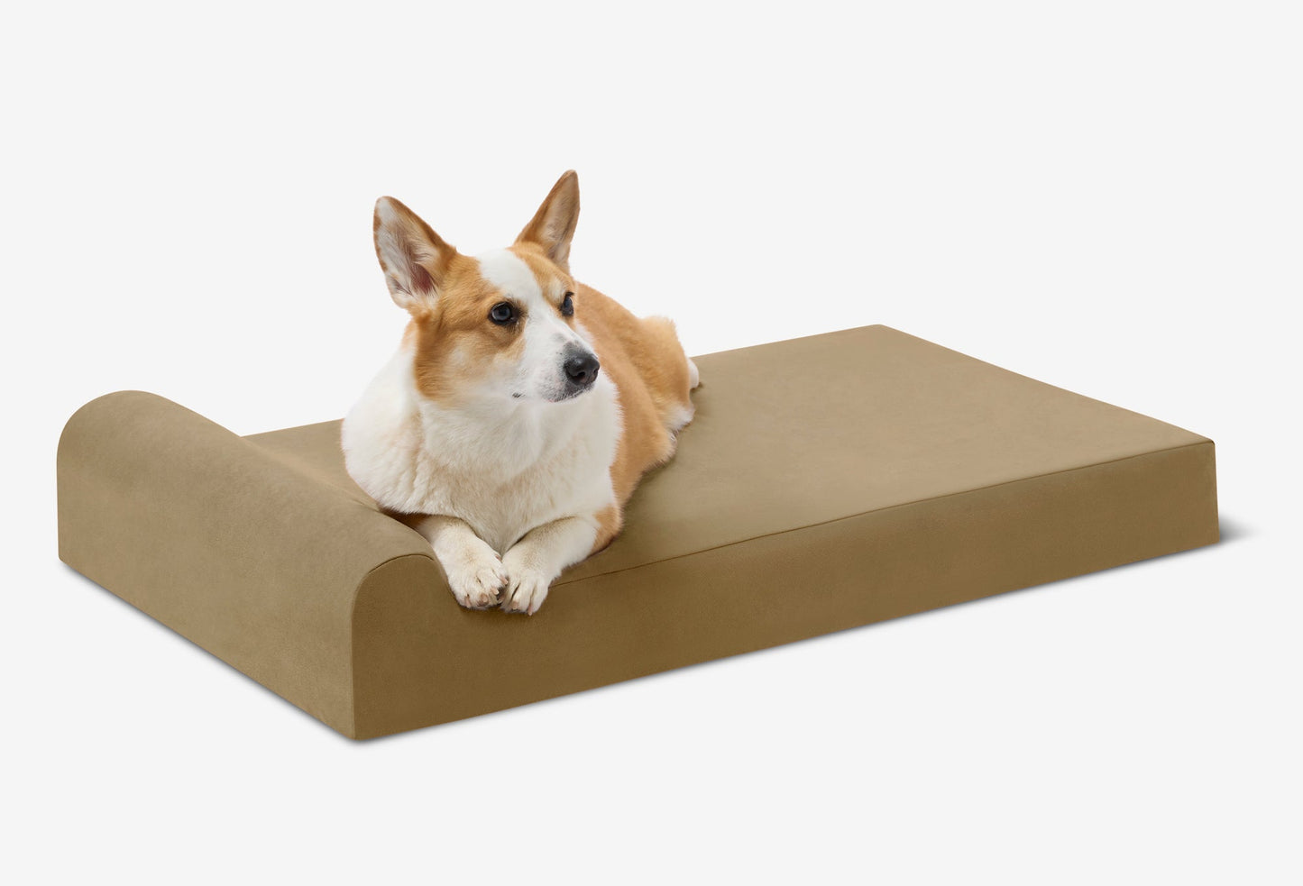 PETLOOM Junior Orthopedic Dog Bed™