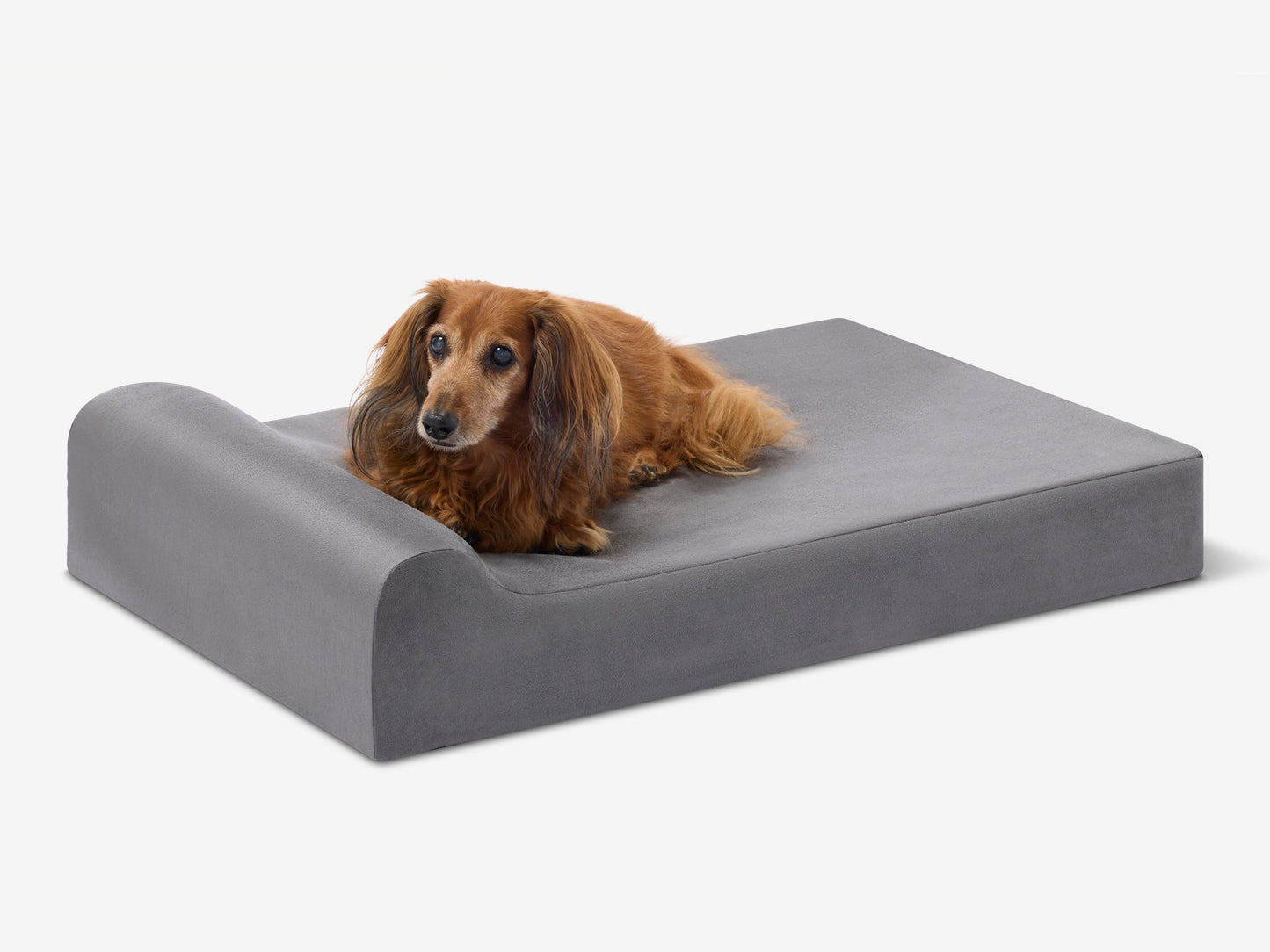 PETLOOM Junior Orthopedic Dog Bed™
