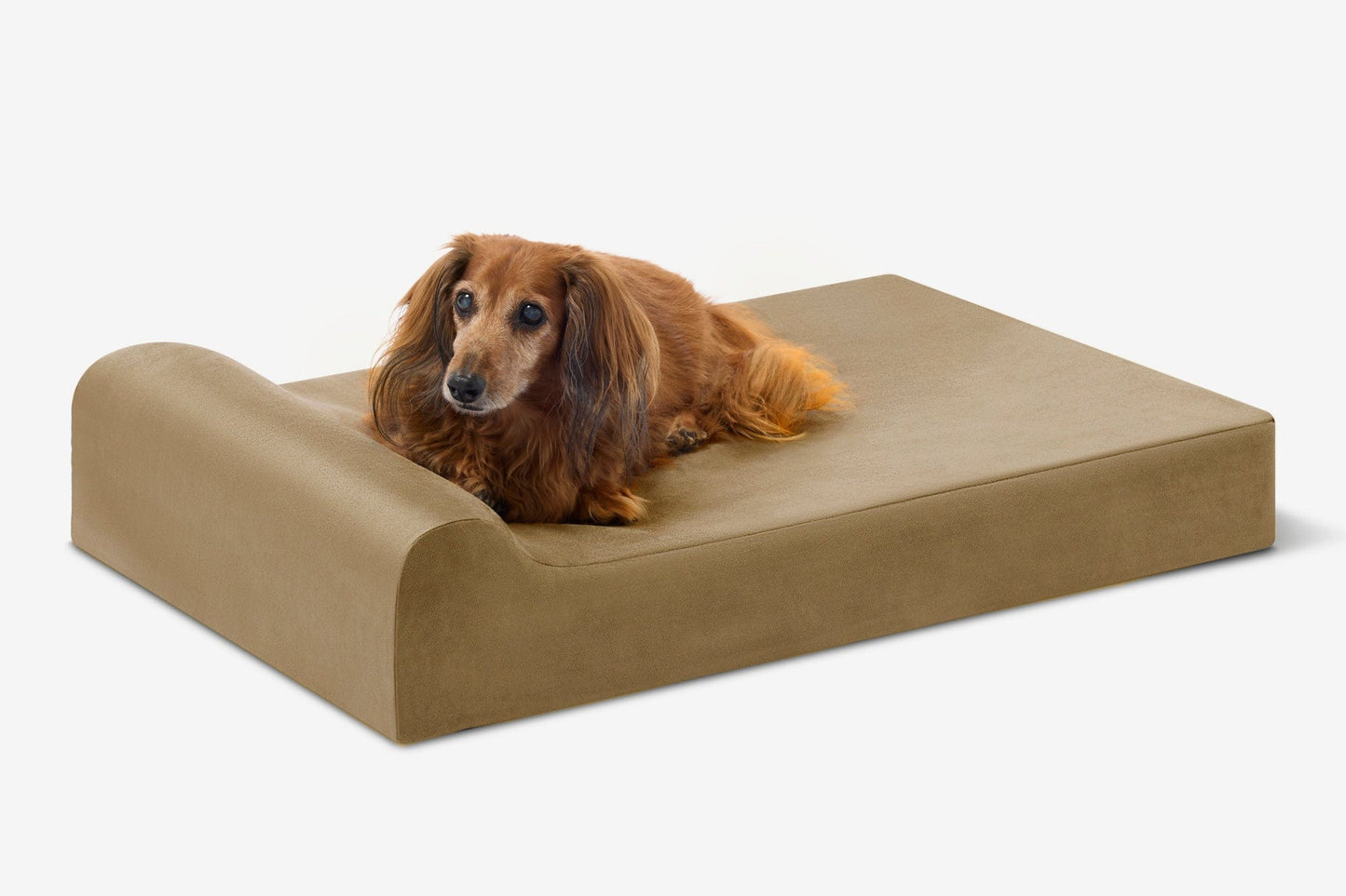 PETLOOM Junior Orthopedic Dog Bed™