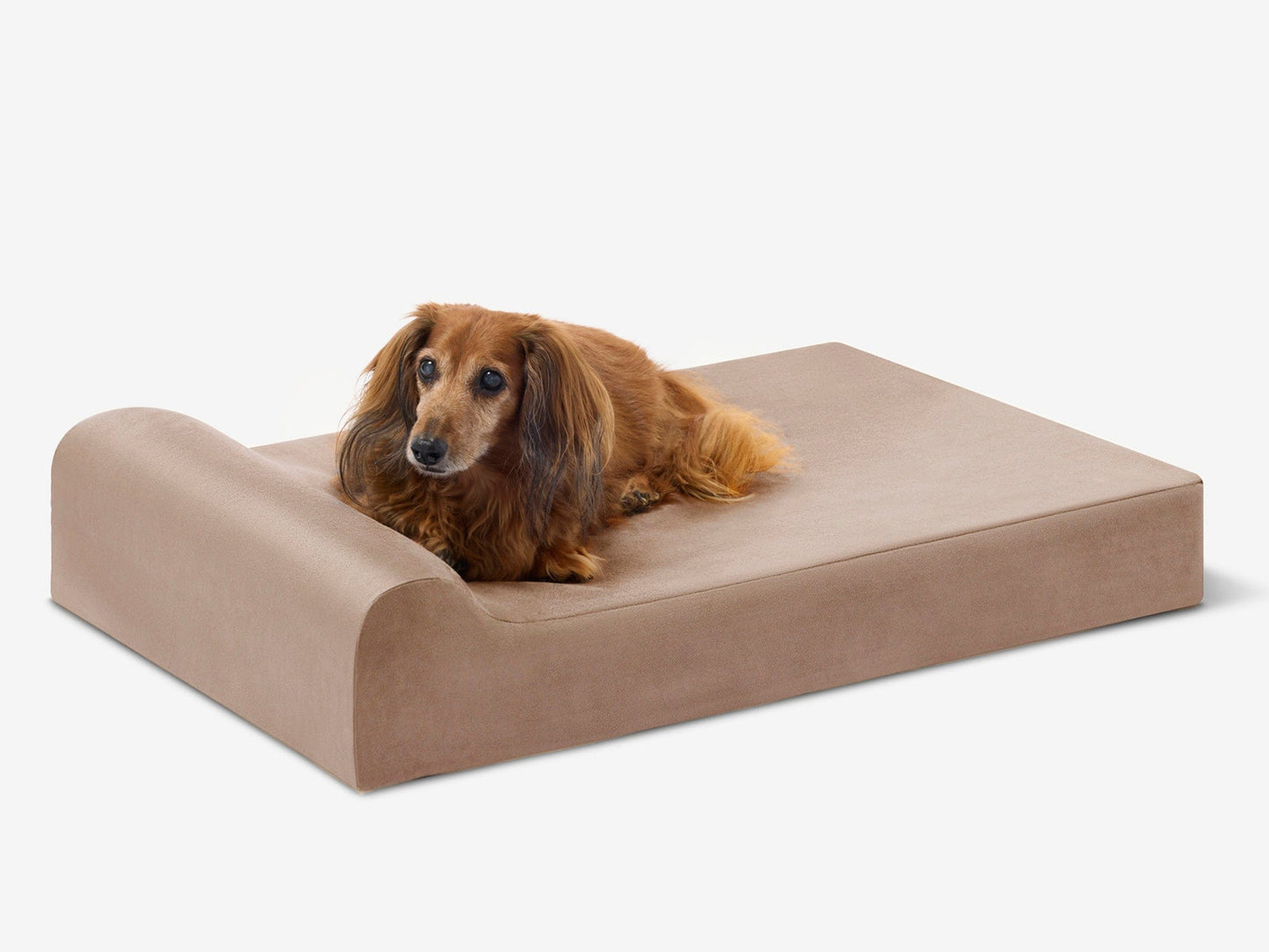 PETLOOM Junior Orthopedic Dog Bed™