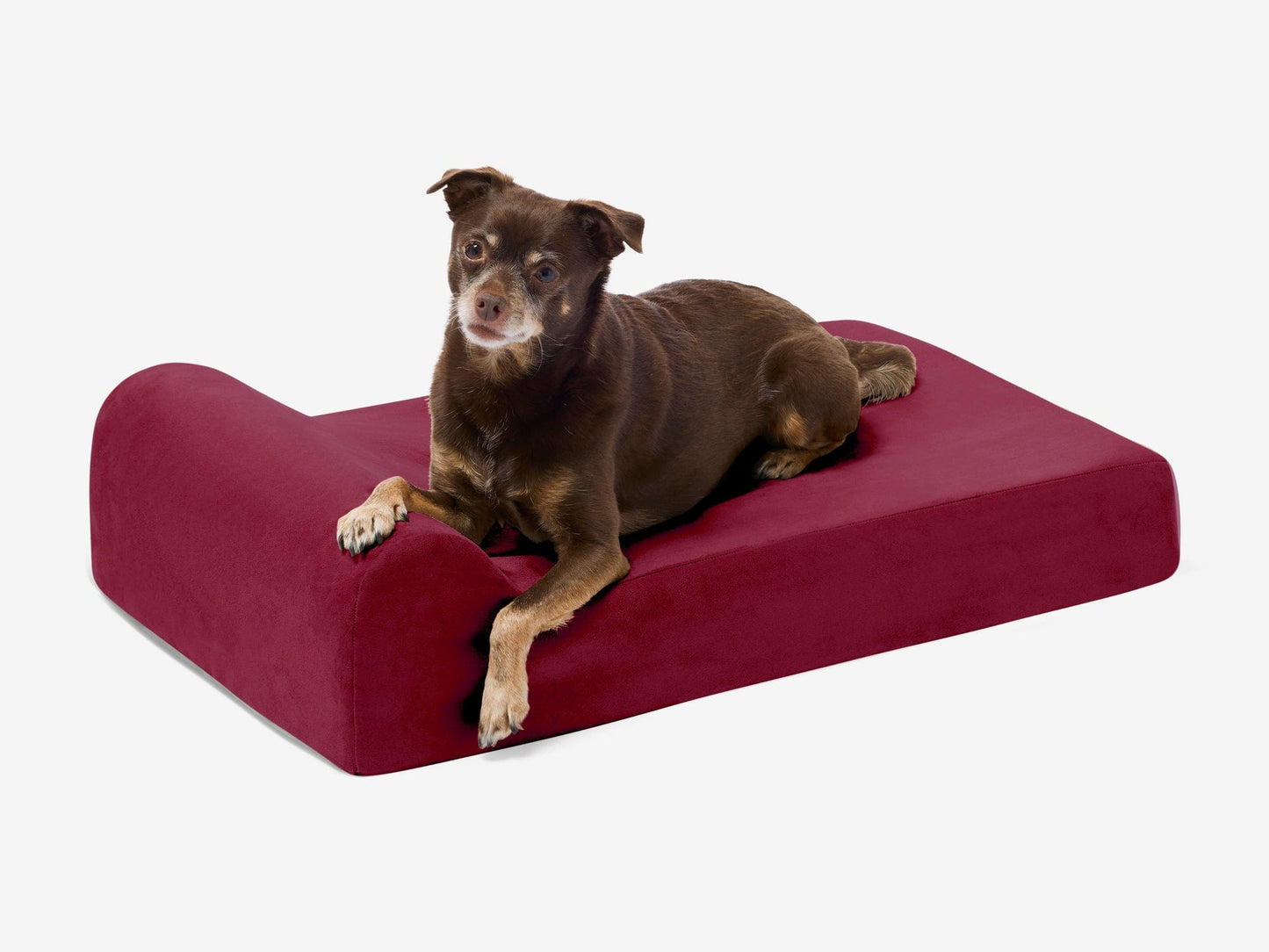 PETLOOM Junior Orthopedic Dog Bed™