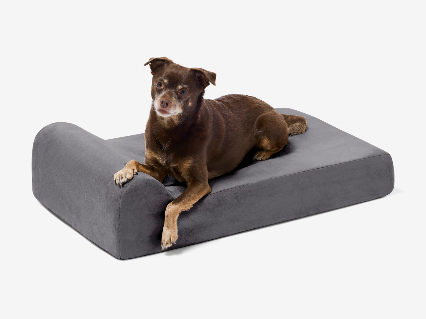 PETLOOM Junior Orthopedic Dog Bed™
