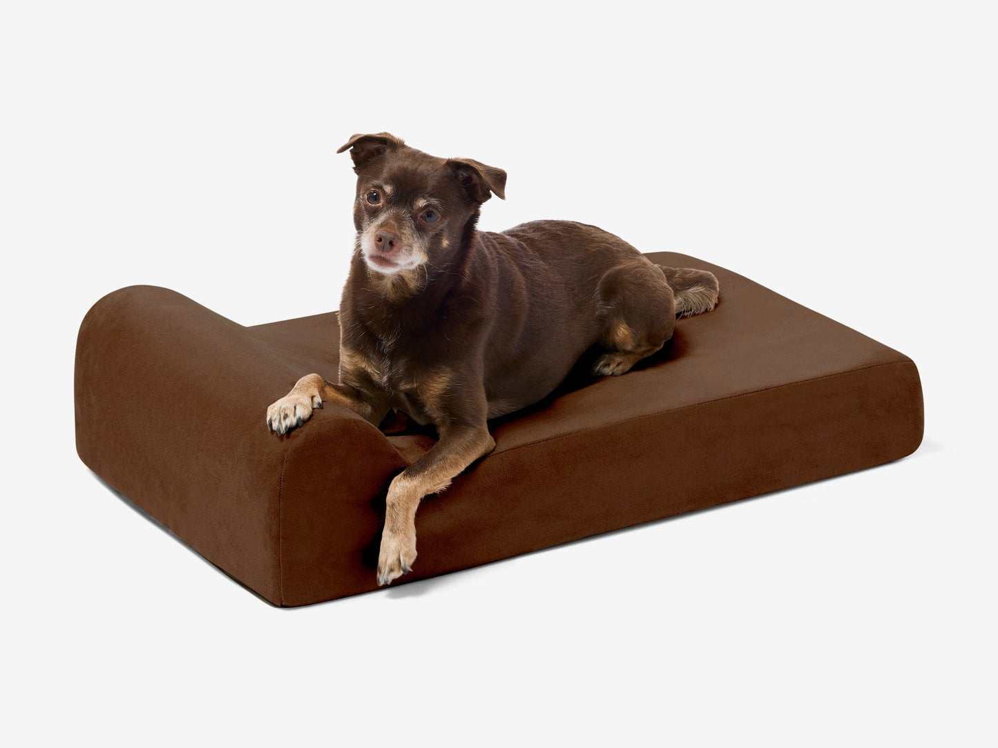 PETLOOM Junior Orthopedic Dog Bed™