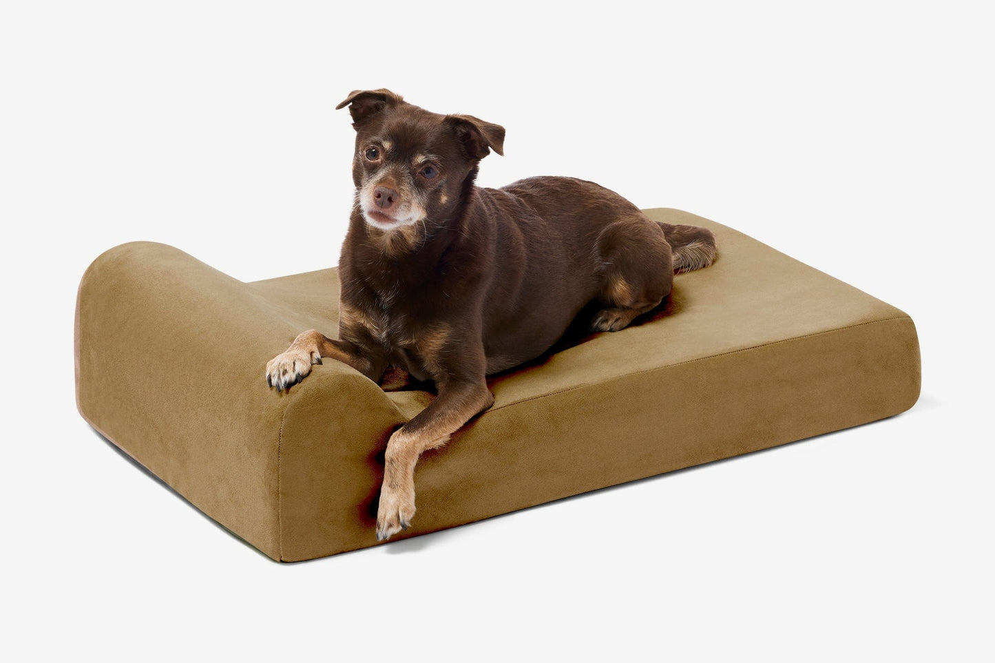PETLOOM Junior Orthopedic Dog Bed™