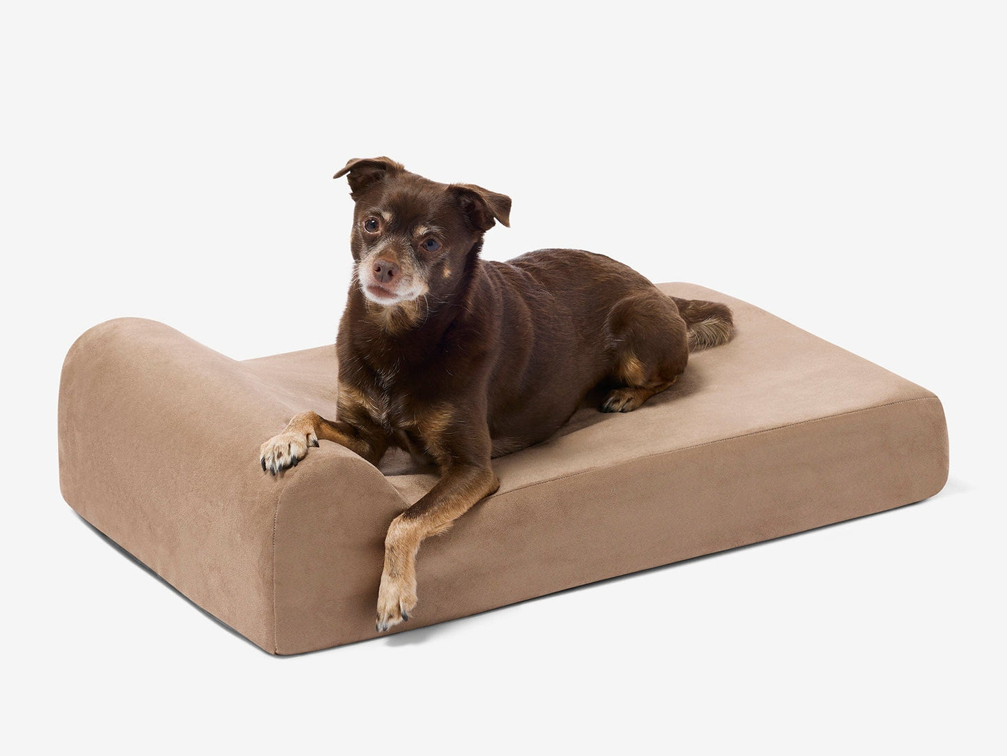 PETLOOM Junior Orthopedic Dog Bed™