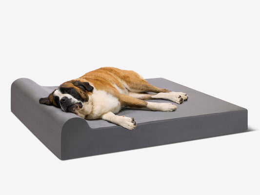 PETLOOM Original Orthopedic Dog Bed™