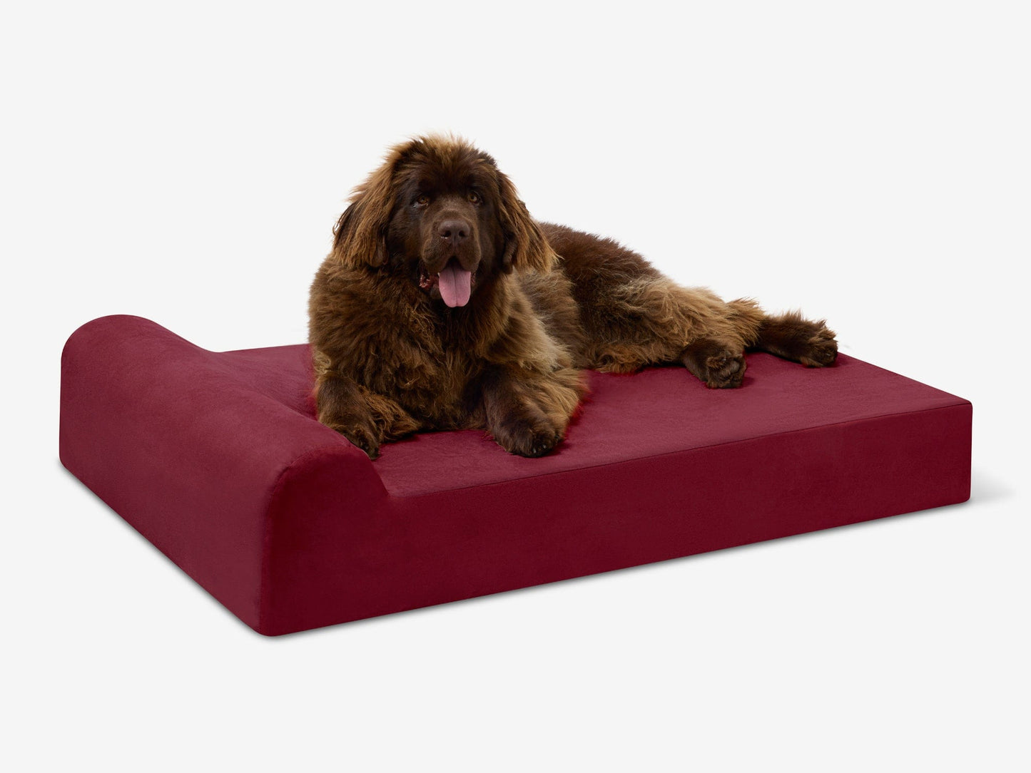 PETLOOM Original Orthopedic Dog Bed™
