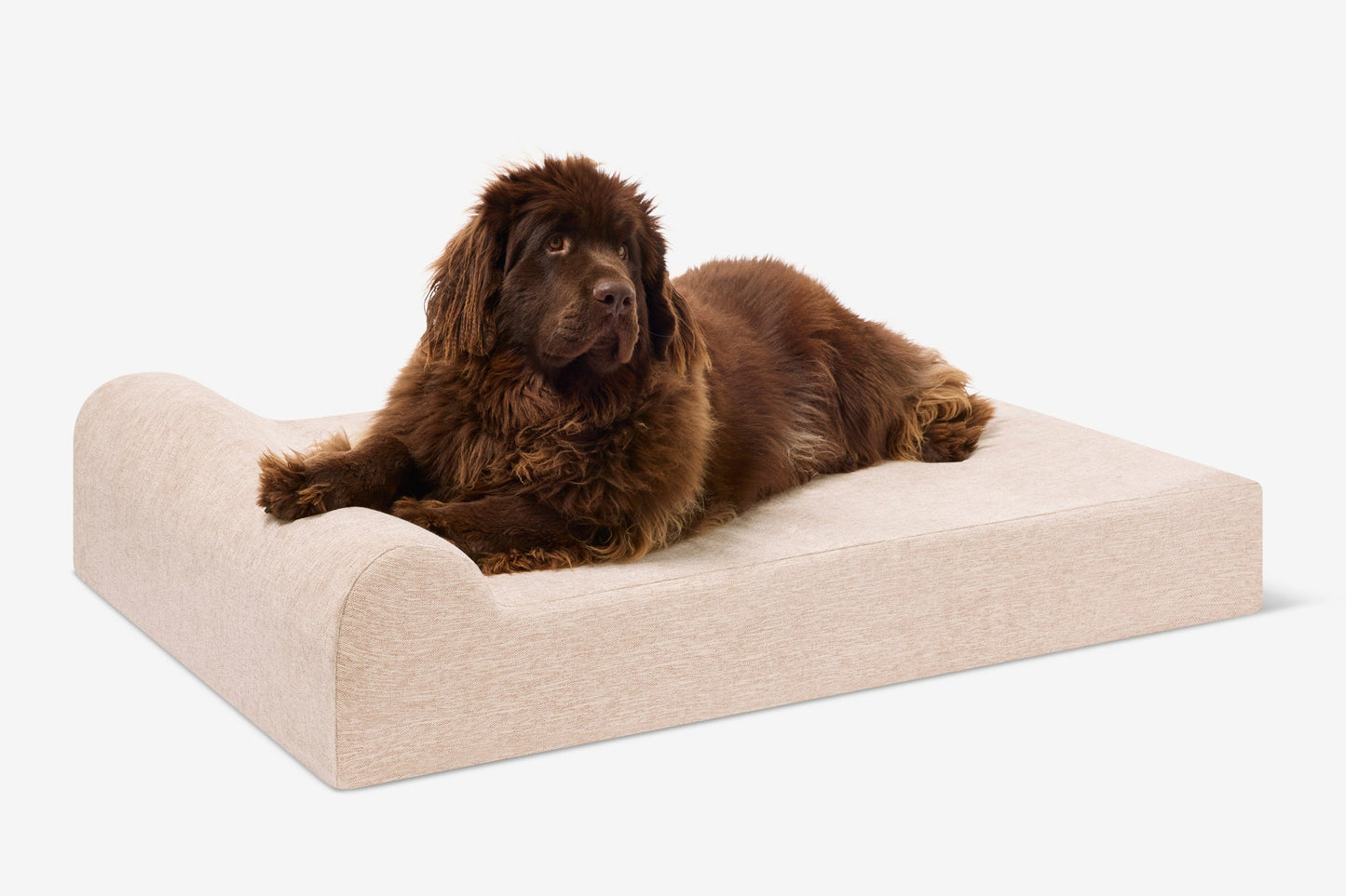 PETLOOM Original Orthopedic Dog Bed™