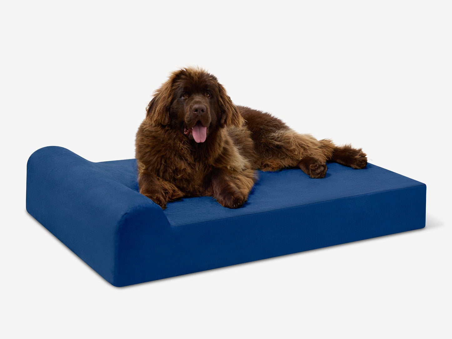 PETLOOM Original Orthopedic Dog Bed™
