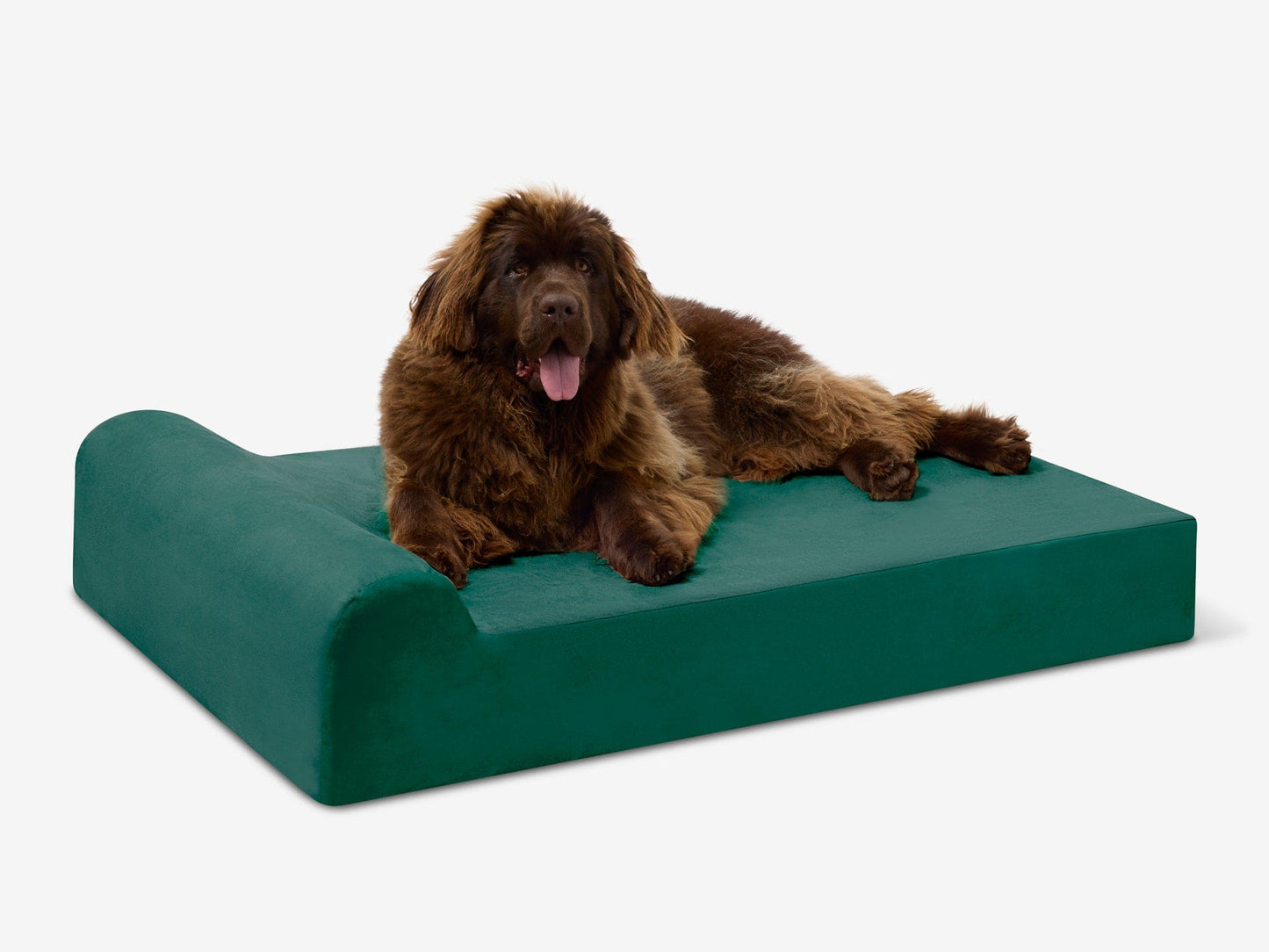 PETLOOM Original Orthopedic Dog Bed™