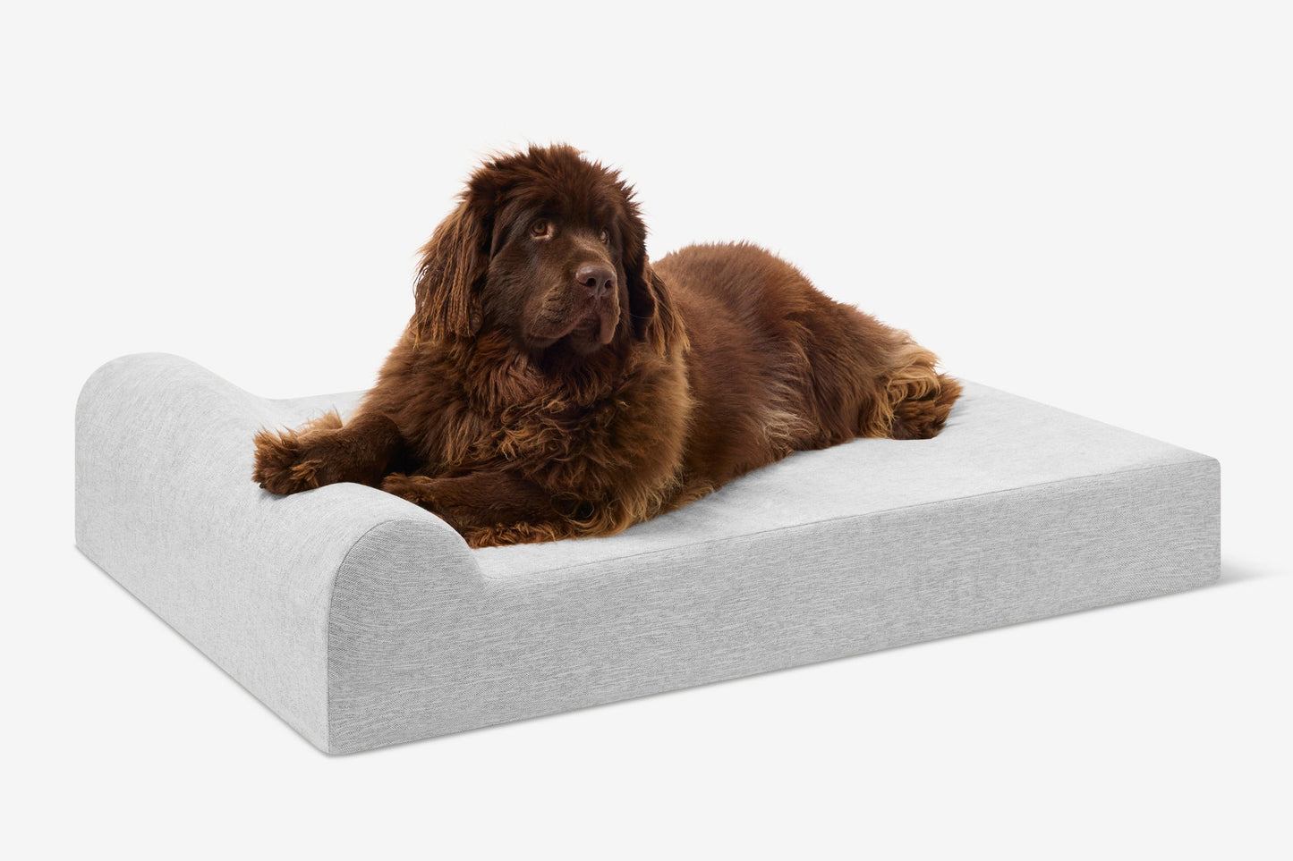 PETLOOM Original Orthopedic Dog Bed™