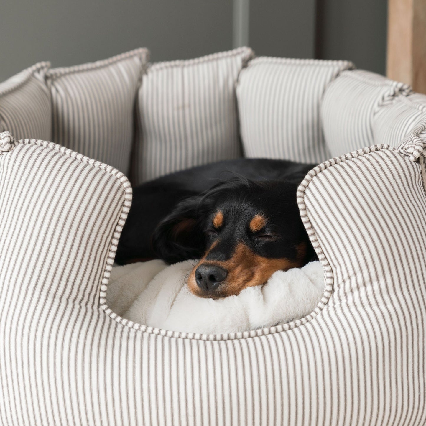 PETLOOM High Wall Stripe Dog Bed™