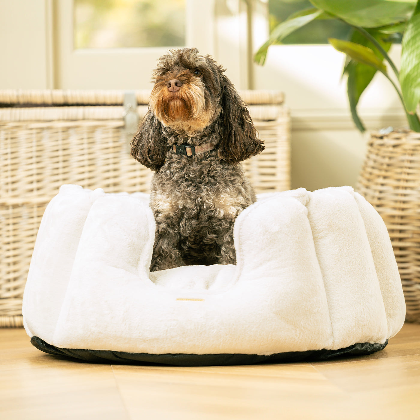 PETLOOM High Wall Calming Faux Fur Dog Bed™