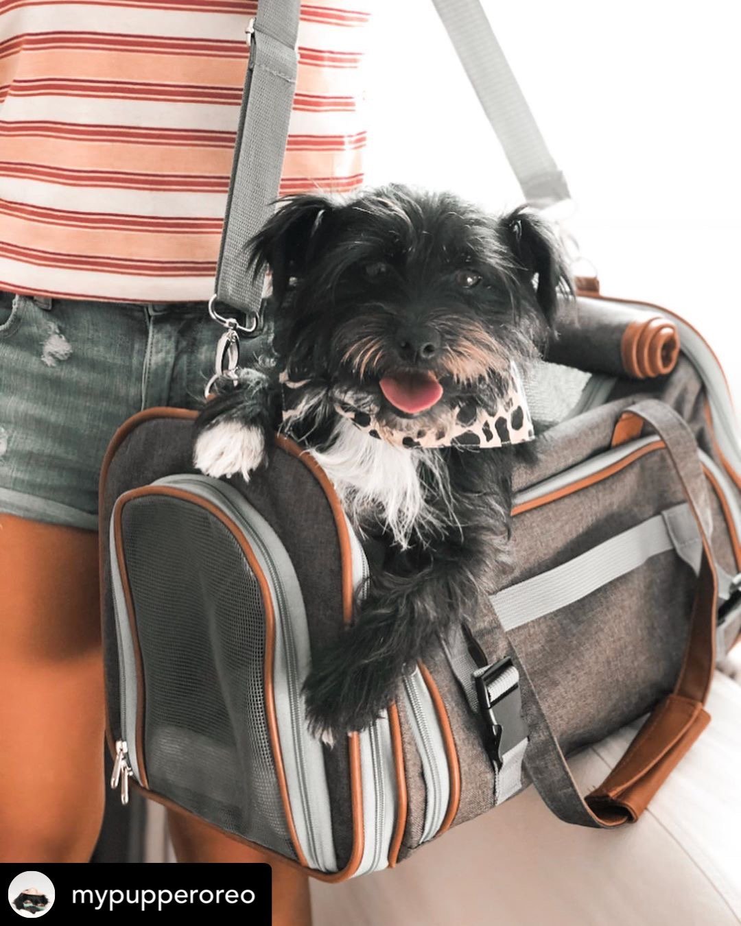 Petloom Multi-Entrance Travel Pet Carrier™
