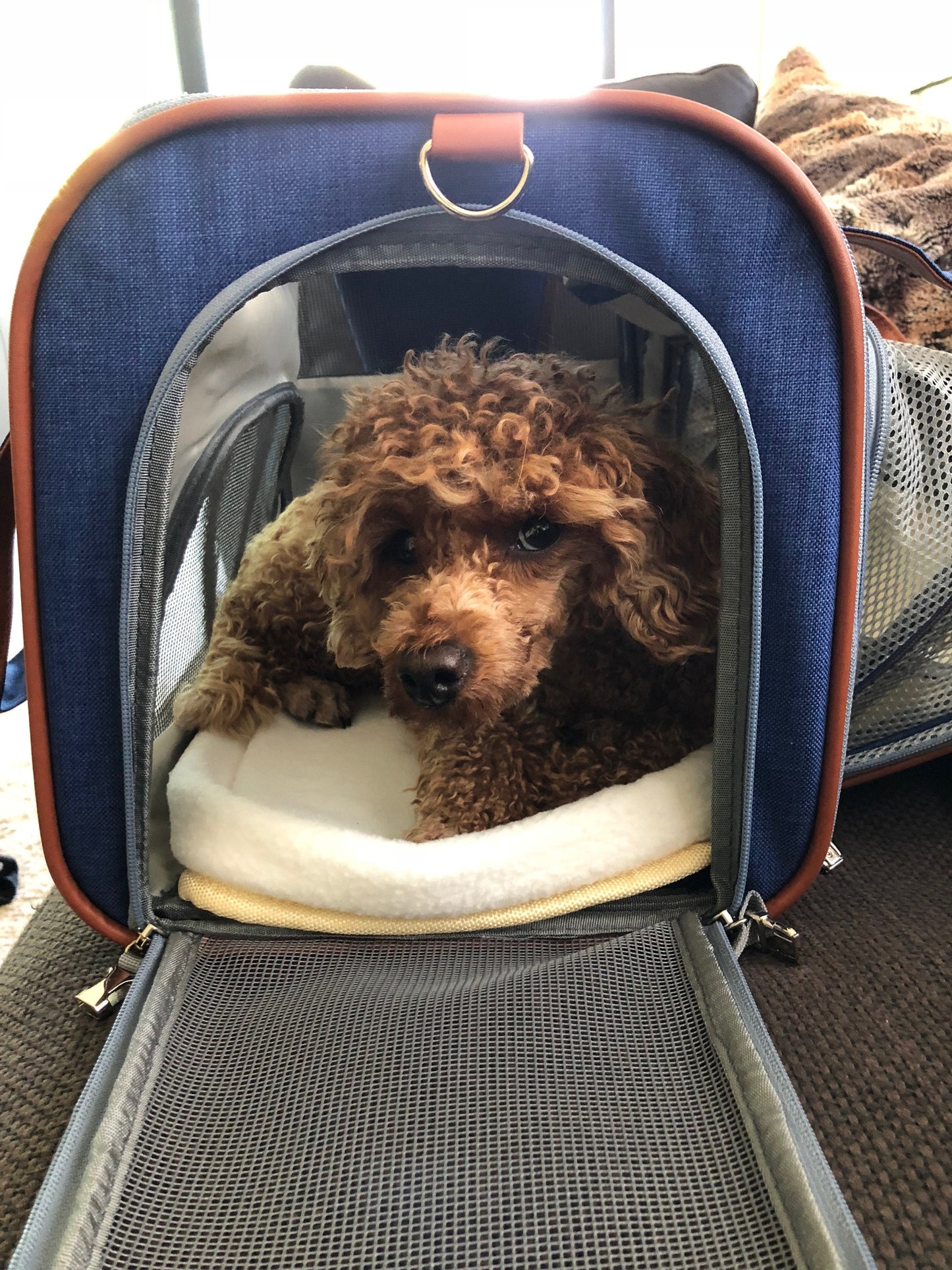 Petloom Multi-Entrance Travel Pet Carrier™