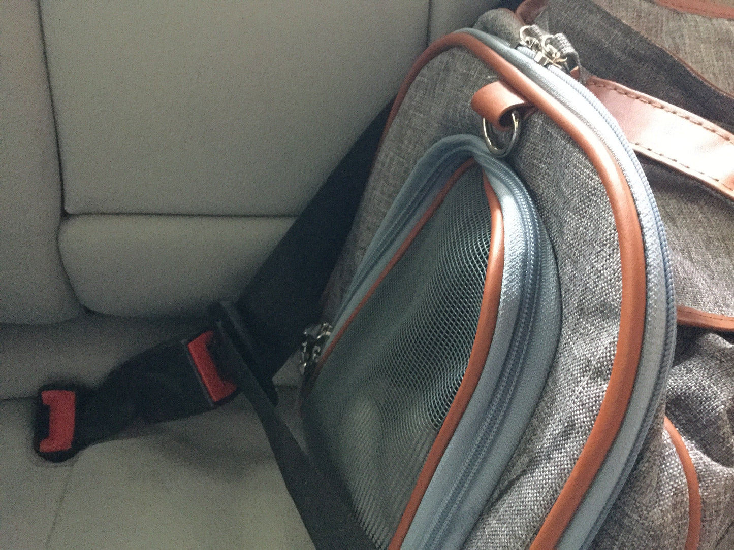Petloom Multi-Entrance Travel Pet Carrier™