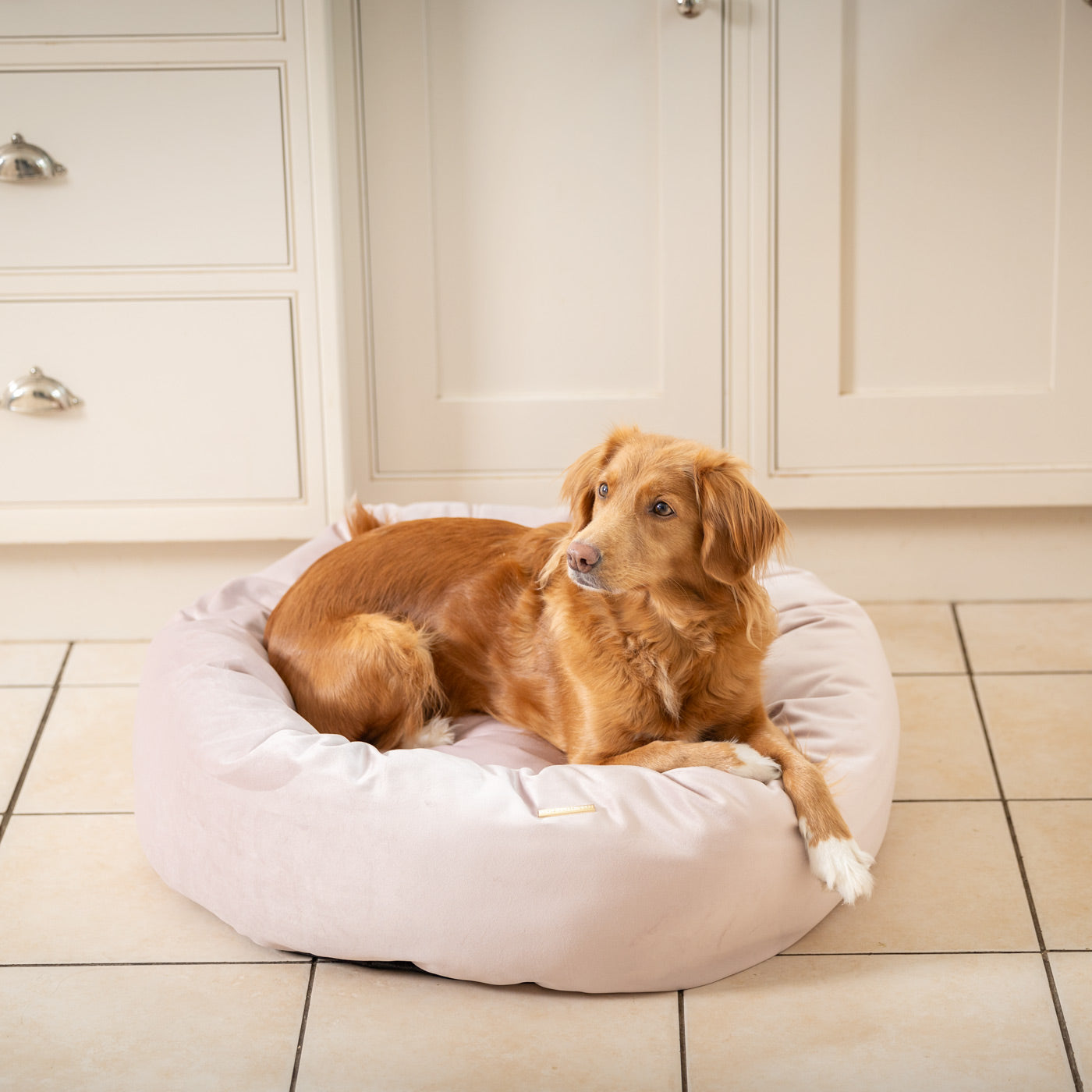 PETLOOM Velvet Donut Dog Bed™