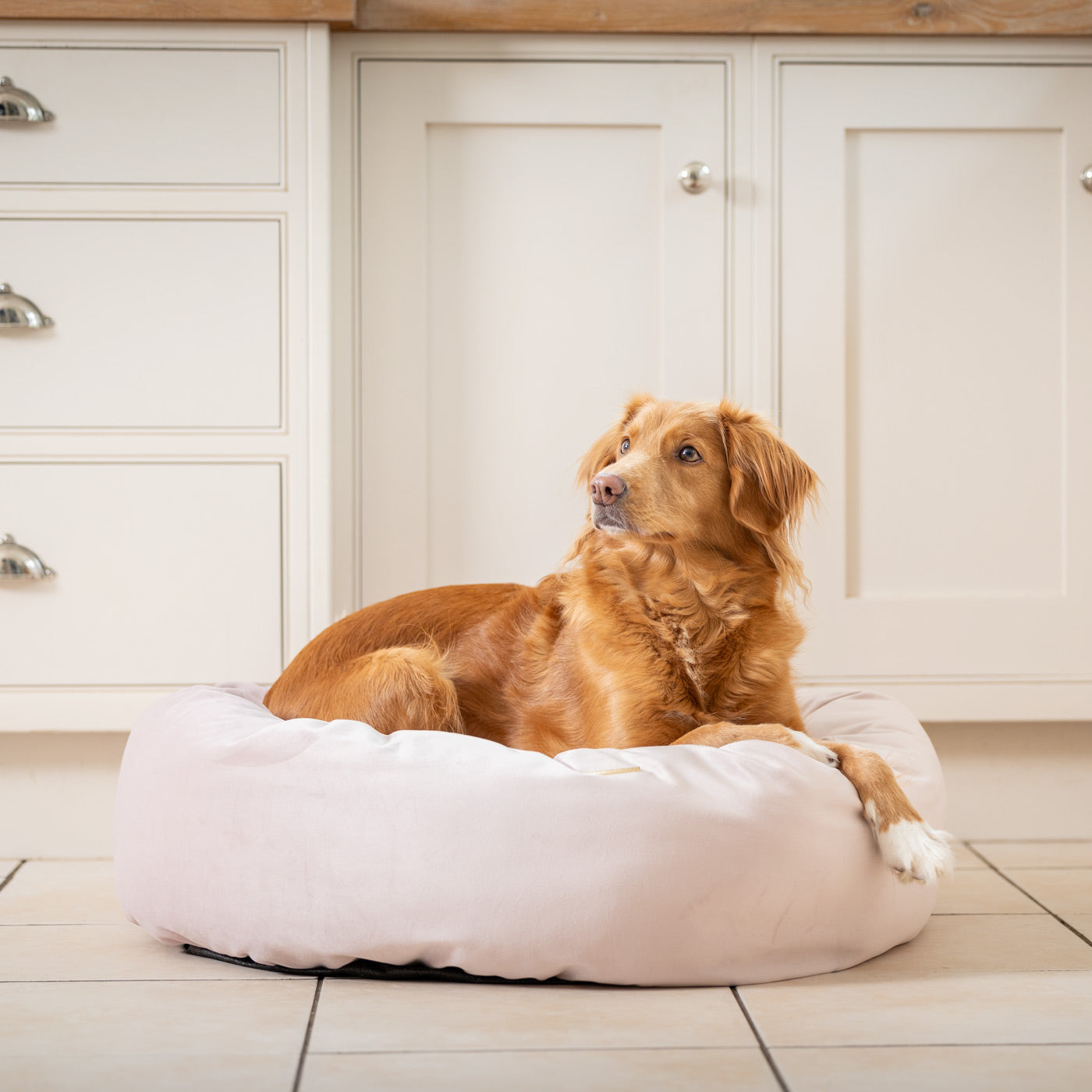 PETLOOM Velvet Donut Dog Bed™