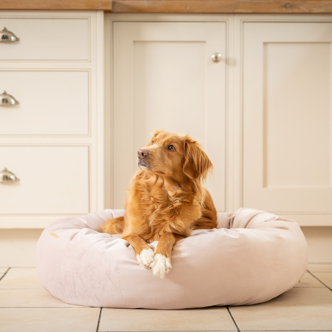 PETLOOM Velvet Donut Dog Bed™