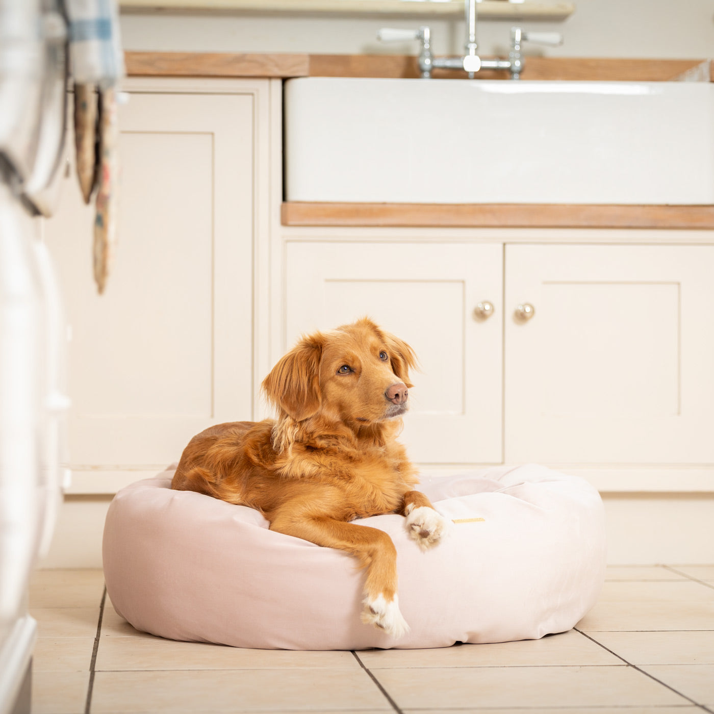 PETLOOM Velvet Donut Dog Bed™