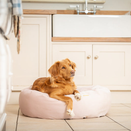 PETLOOM Velvet Donut Dog Bed™