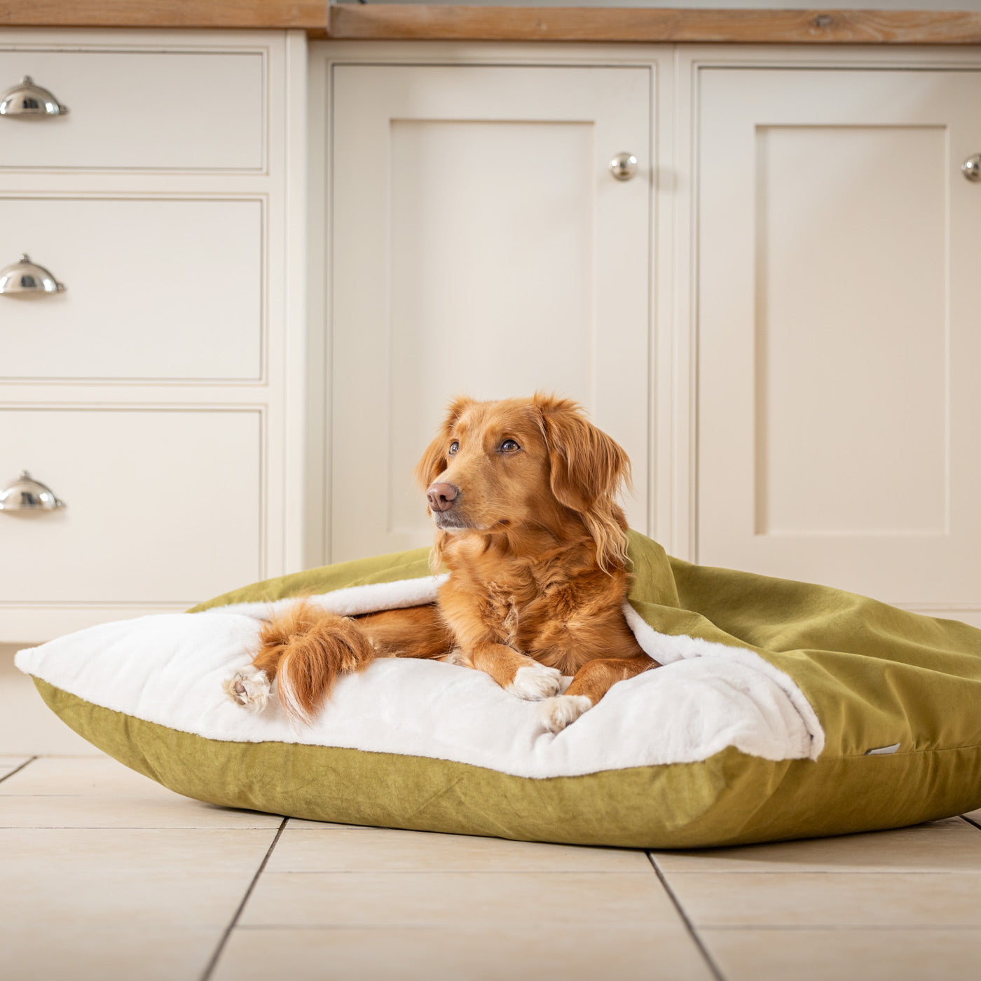 PETLOOM Sleepy Burrows Velvet Dog Bed™