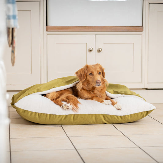 PETLOOM Sleepy Burrows Velvet Dog Bed™