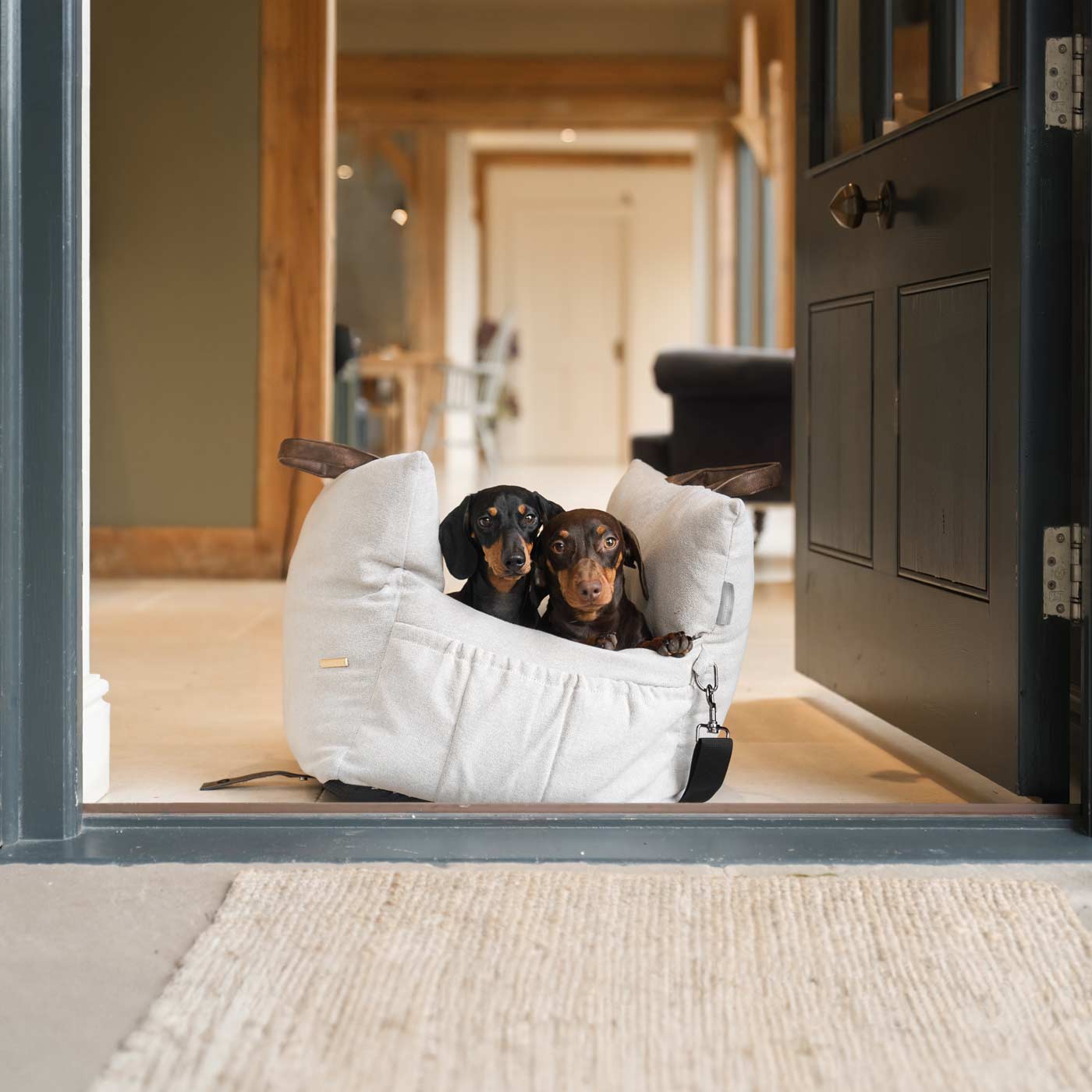 PETLOOM Easy Traveller Pet Carrier & Car Seat Bed™