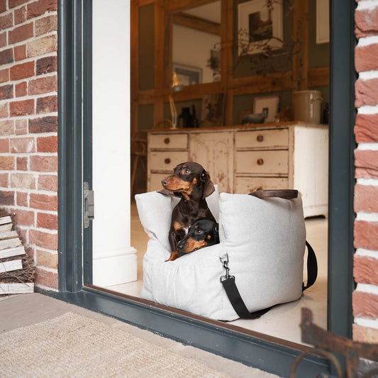 PETLOOM Easy Traveller Pet Carrier & Car Seat Bed™