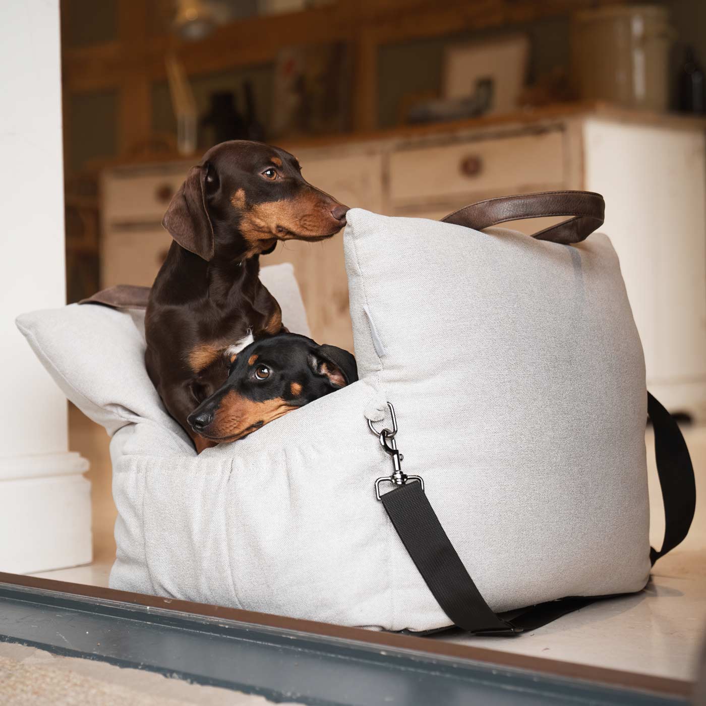 PETLOOM Easy Traveller Pet Carrier & Car Seat Bed™
