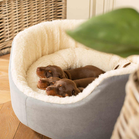 PETLOOM Grow With Me Puppy Bed™