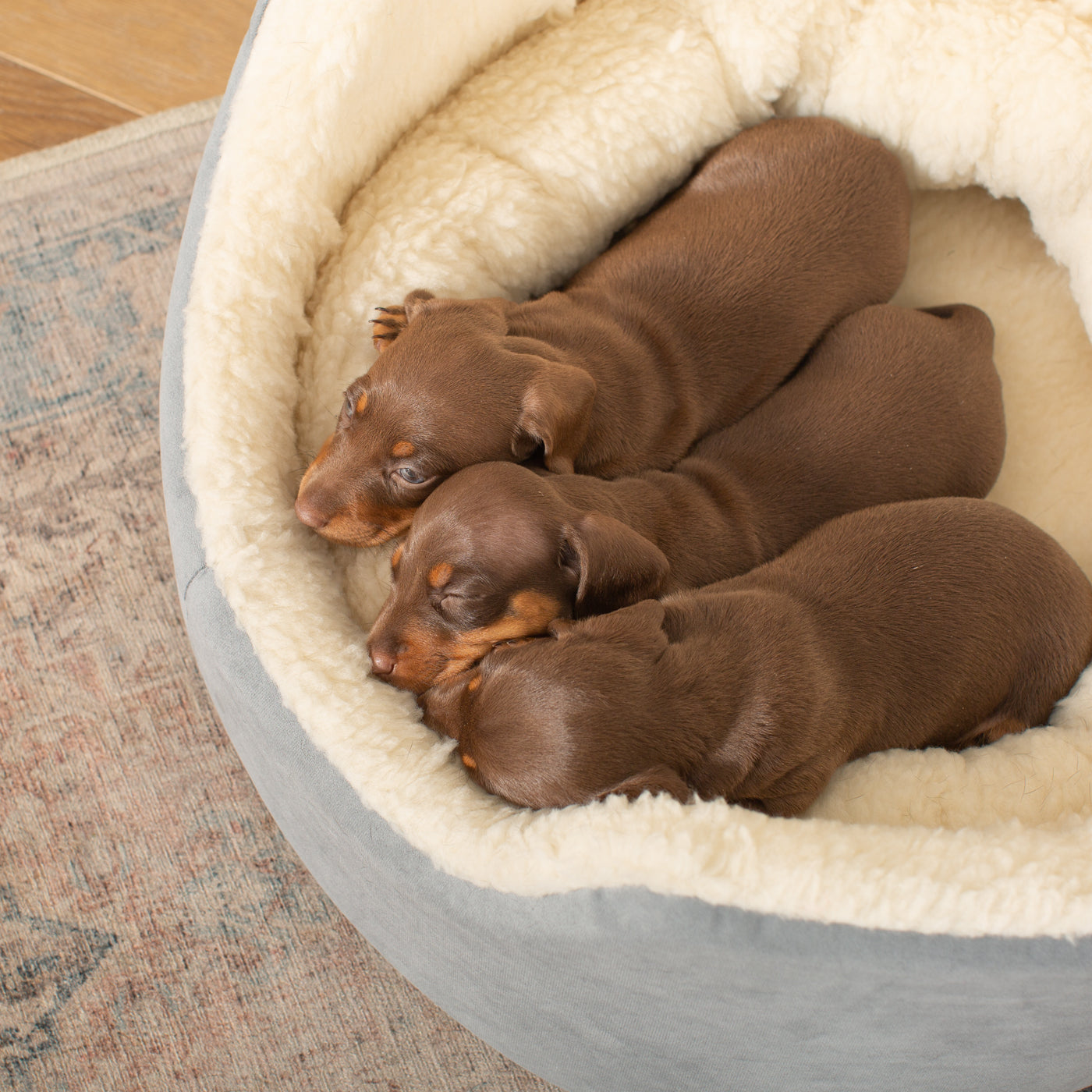 PETLOOM Grow With Me Puppy Bed™